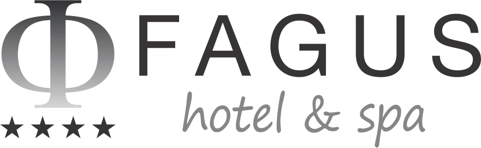 Hotel Fagus